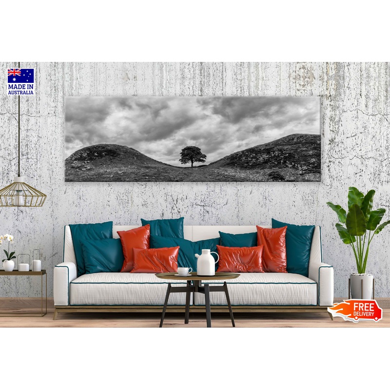 Panoramic Canvas Alone Tree Hill B&W View Photograph High Quality 100% Australian Made Wall Canvas Print Ready to Hang