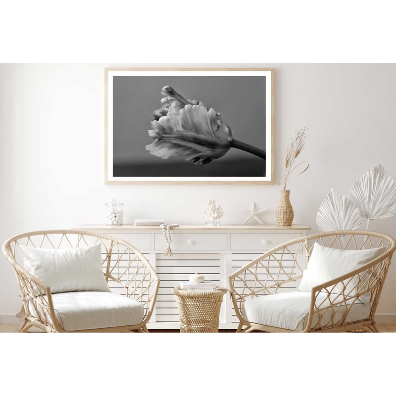 Parrot Tulip B&W View Photograph Home Decor Premium Quality Poster Print Choose Your Sizes