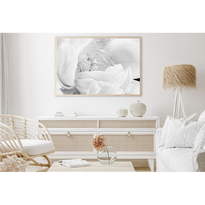 Peony Blossom Flower B&W Macro Photograph Home Decor Premium Quality Poster Print Choose Your Sizes