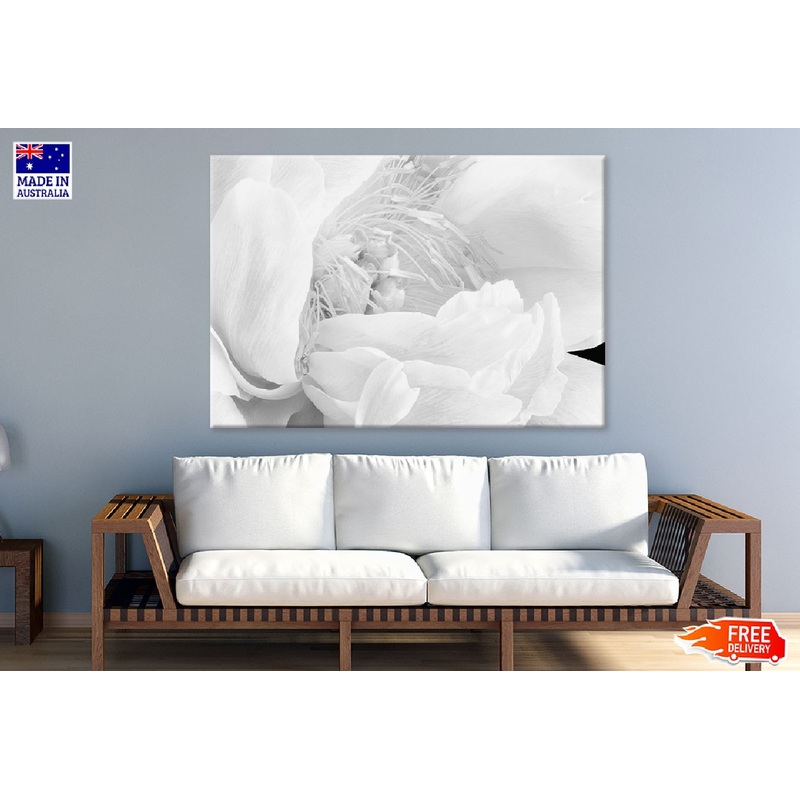 Peony Blossom Flower B&W Macro Photograph Print 100% Australian Made