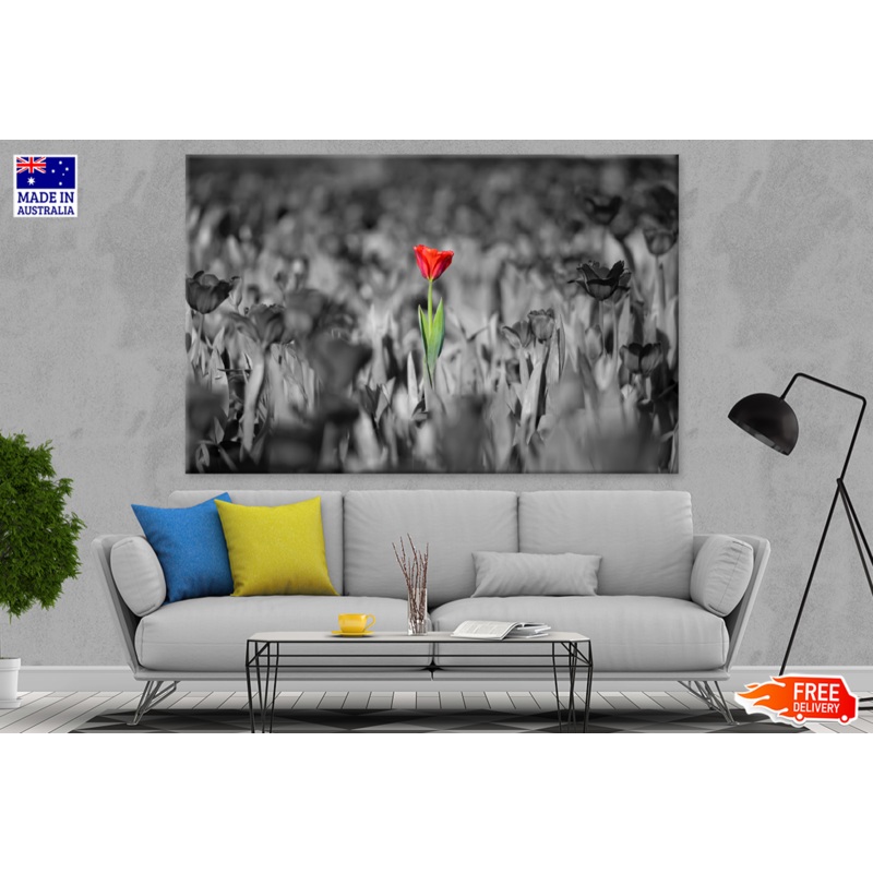 Red B&W Flowers Portrait Photograph Print 100% Australian Made