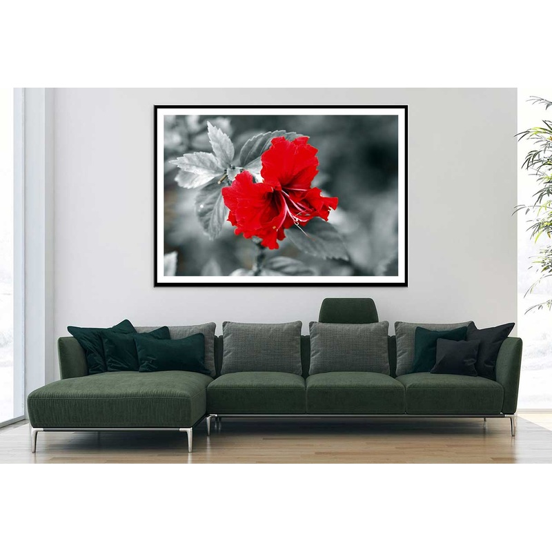 Red Hibiscus B&W View Photograph Home Decor Premium Quality Poster Print Choose Your Sizes