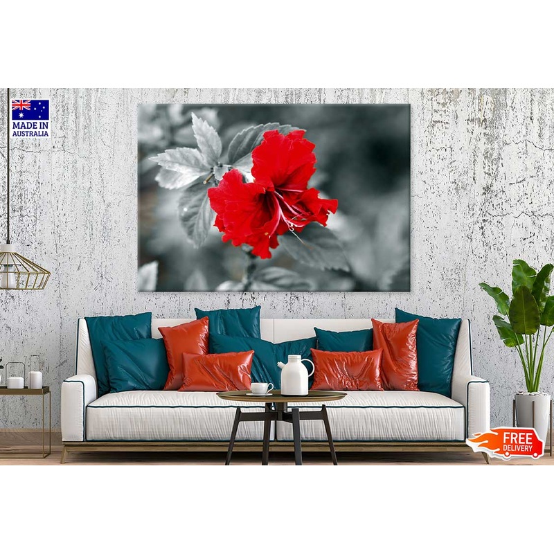 Red Hibiscus B&W View Photograph Print 100% Australian Made