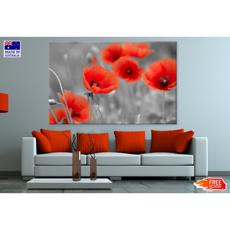Red Poppies Flower Portrait B&W Photograph Print 100% Australian Made
