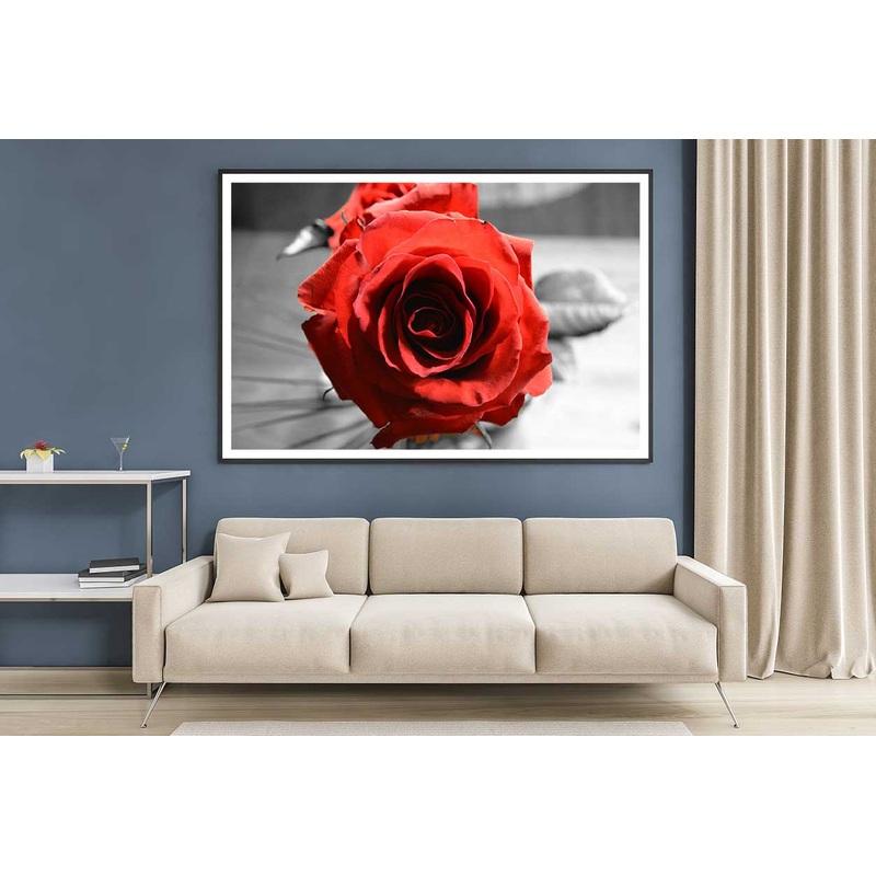 Red Rose with B&W View Photograph Home Decor Premium Quality Poster Print Choose Your Sizes