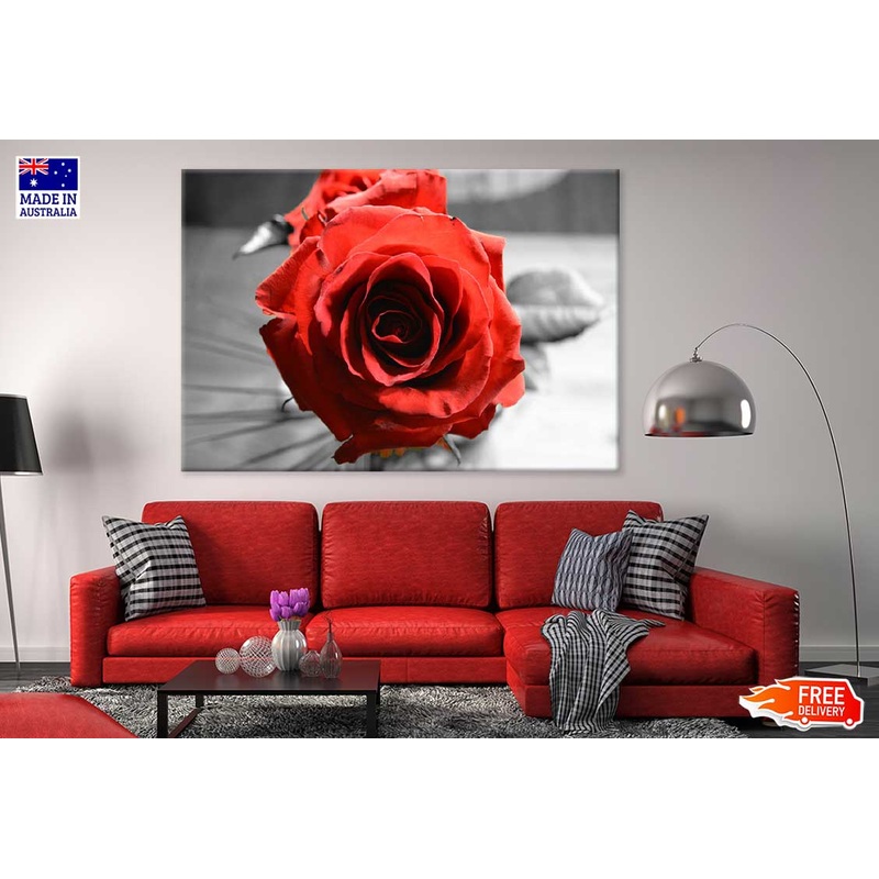 Red Rose with B&W View Photograph Print 100% Australian Made