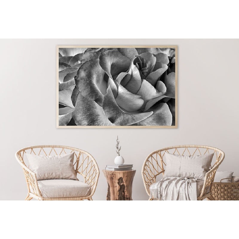Rose Flower Petals Closeup B&W Photograph Home Decor Premium Quality Poster Print Choose Your Sizes