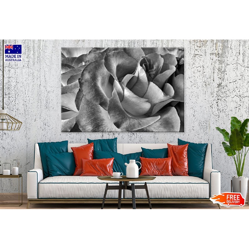 Rose Flower Petals Closeup B&W Photograph Print 100% Australian Made
