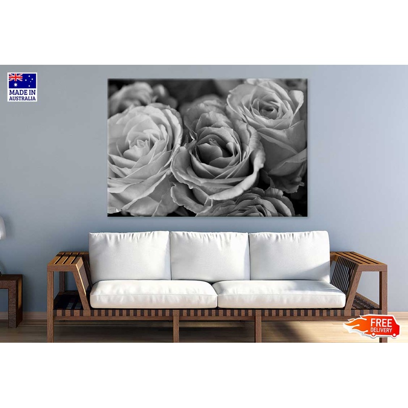 Rosees Closeup B&W View Photograph Print 100% Australian Made