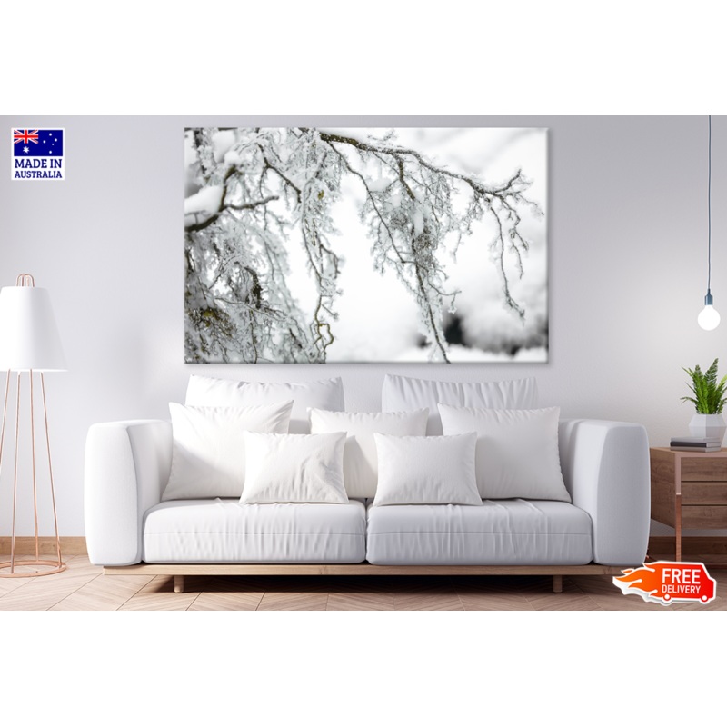 Snow Covered Tree B&W Photograph Print 100% Australian Made
