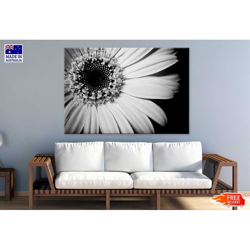 Sunflower Closeup B&W View Photograph Print 100% Australian Made