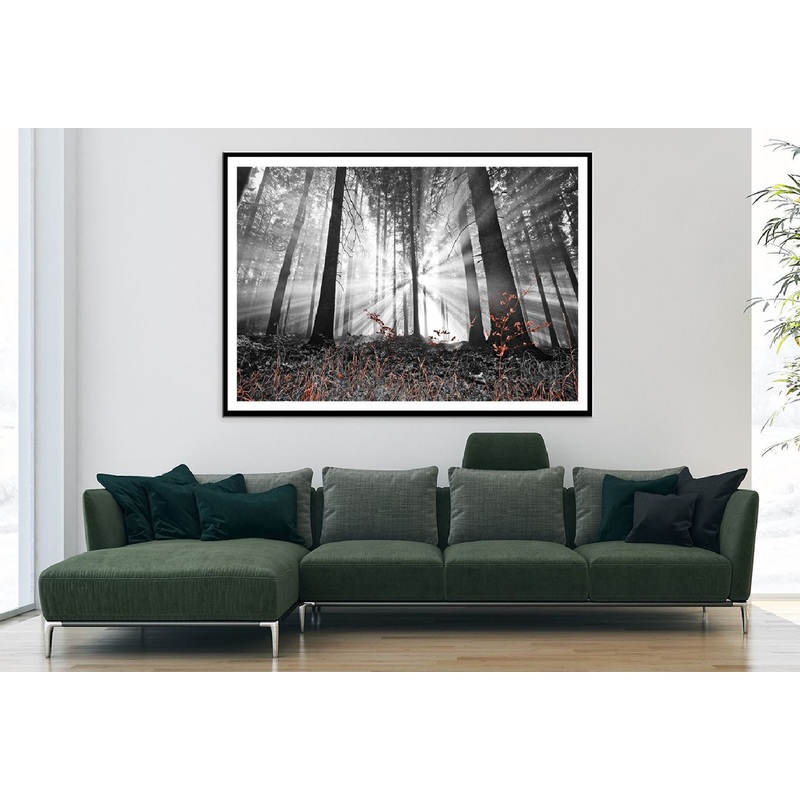 Sunshine Through Trees B&W View Photograph Home Decor Premium Quality Poster Print Choose Your Sizes