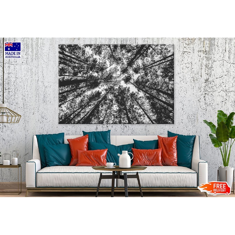Tall Trees View From Below B&W View Photograph Print 100% Australian Made