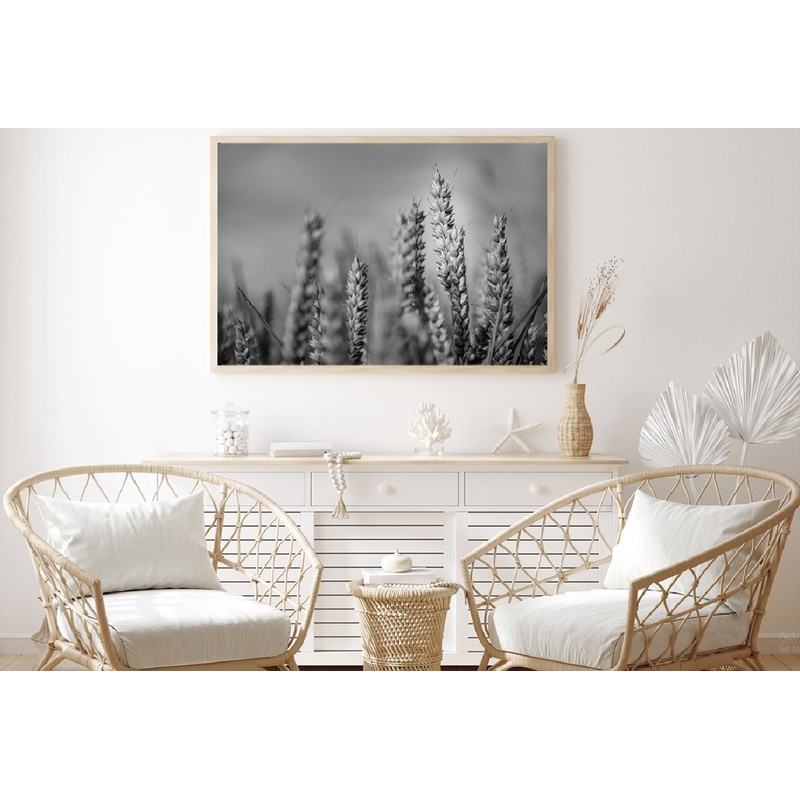 Wheat Plant Closeup B&W View Photograph Home Decor Premium Quality Poster Print Choose Your Sizes