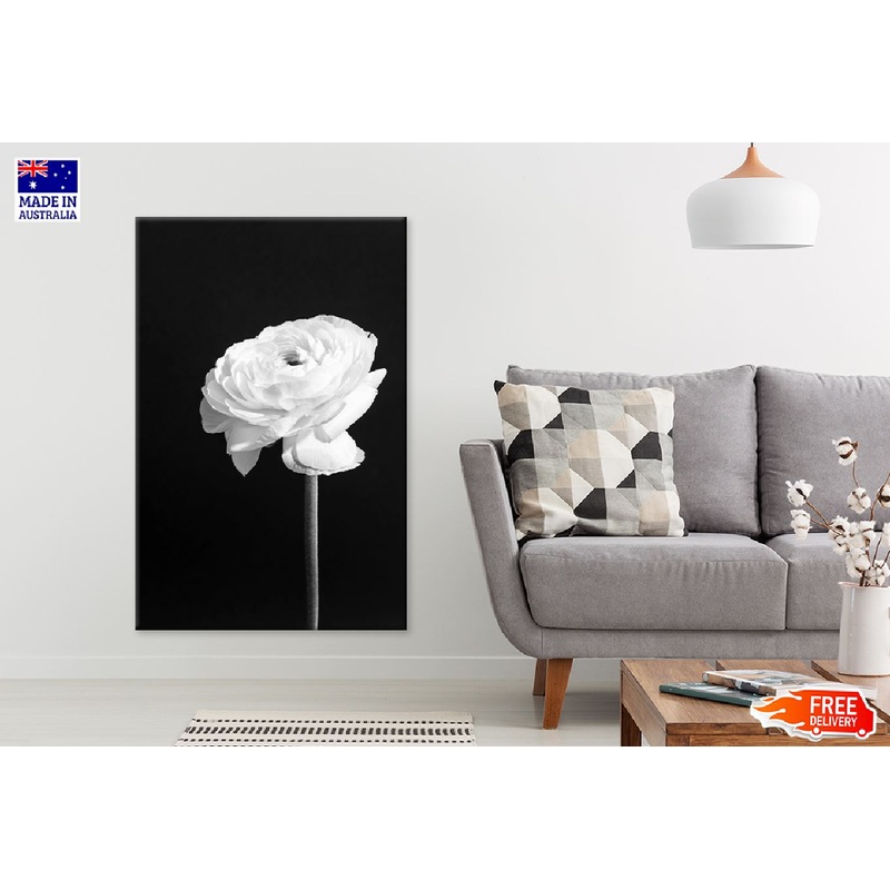 White Rose Closeup B&W View Photograph Print 100% Australian Made
