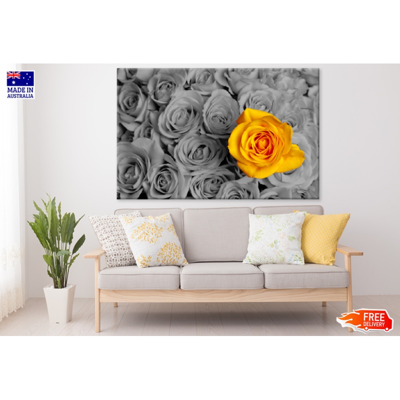 Yellow & B&W Rose Flower Photograph Print 100% Australian Made