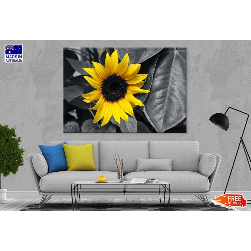 Yellow Sunflower with Leaves B&W Photograph Print 100% Australian Made
