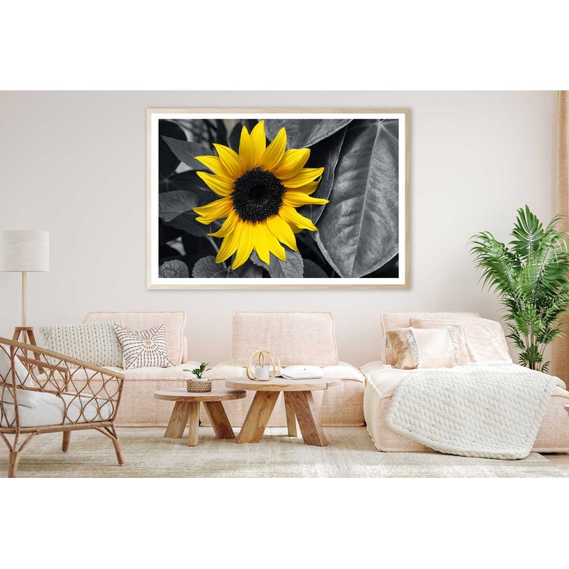 Yellow Sunflower with Leaves B&W View Photograph Home Decor Premium Quality Poster Print Choose Your Sizes