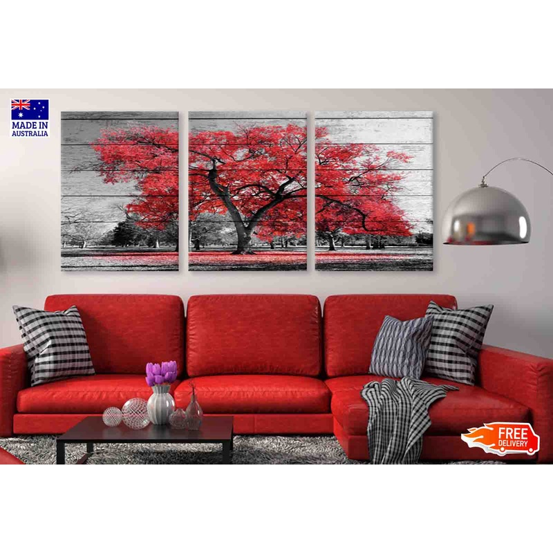 3 Set of Red Autumn Tree B&W View Photograph High Quality Print 100% Australian Made Wall Canvas Ready to Hang