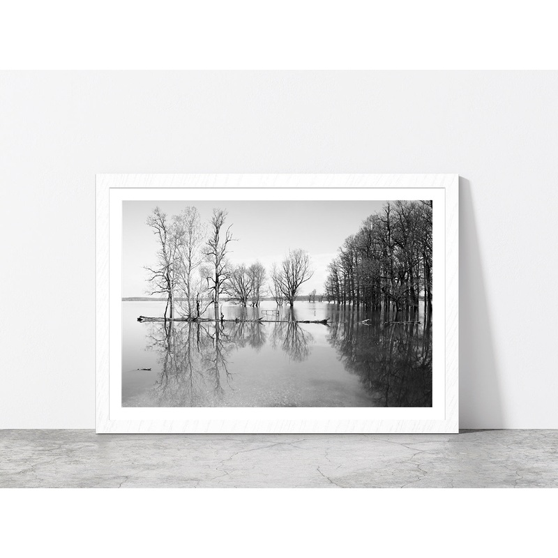 B&W Landscape Flood In Forest Glass Framed Wall Art, Ready to Hang Quality Print