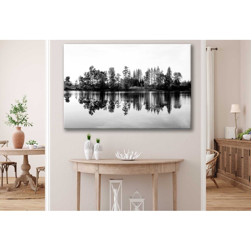 Bella Home Trees near Lake B&W Scenery View Print Canvas Ready to hang