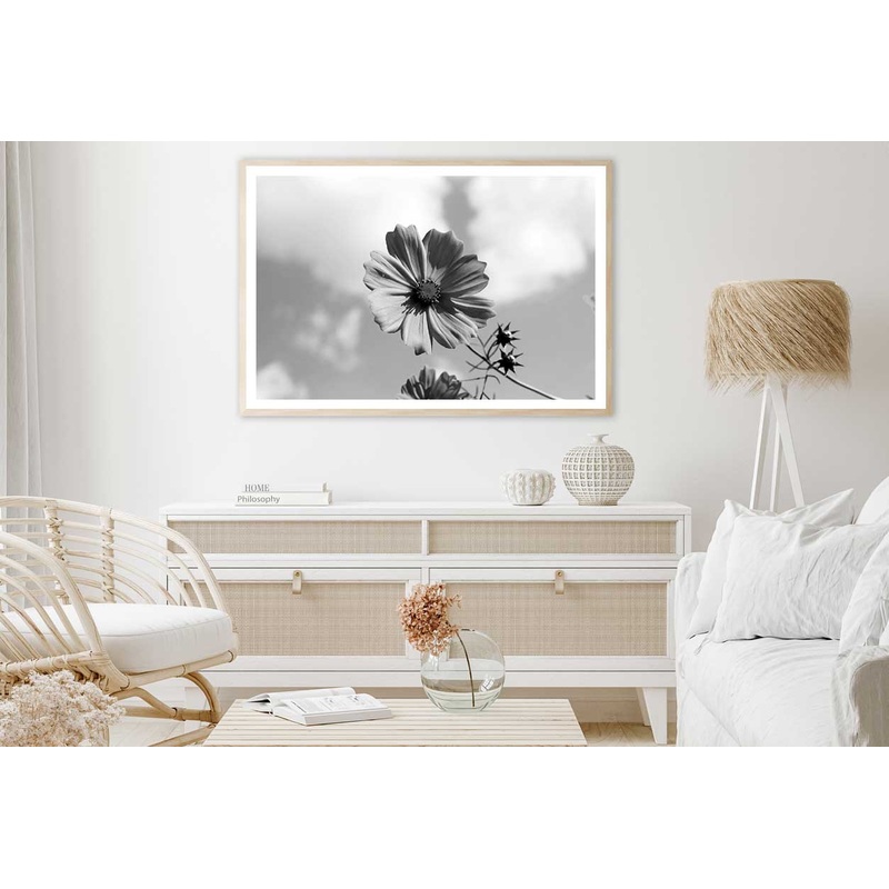 Cosmos Flower Closeup B&W View Home Decor Premium Quality Poster Print Choose Your Sizes