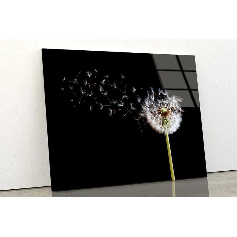 Dandelion Blowing in The Wind with A Black Acrylic Glass Print Tempered Glass Wall Art 100% Made in Australia Ready to Hang