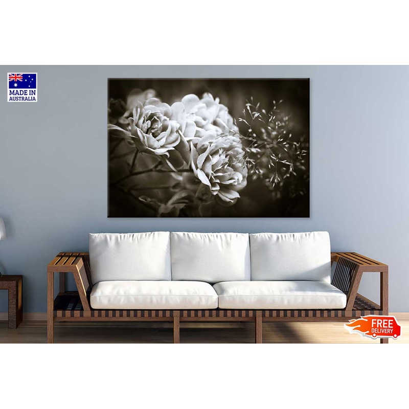 Floribunda Roses B&W Photograph Print 100% Australian Made