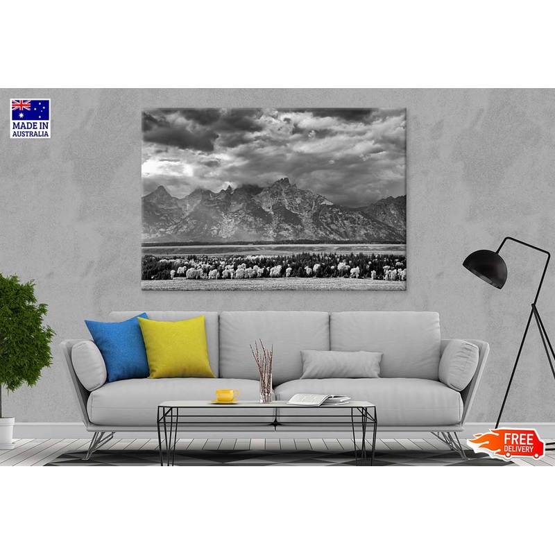 Forest Near Mountains B&W View Photograph Print 100% Australian Made