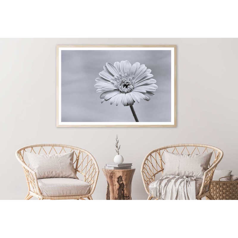 Gerbera Flower Closeup B&W View Photograph Home Decor Premium Quality Poster Print Choose Your Sizes