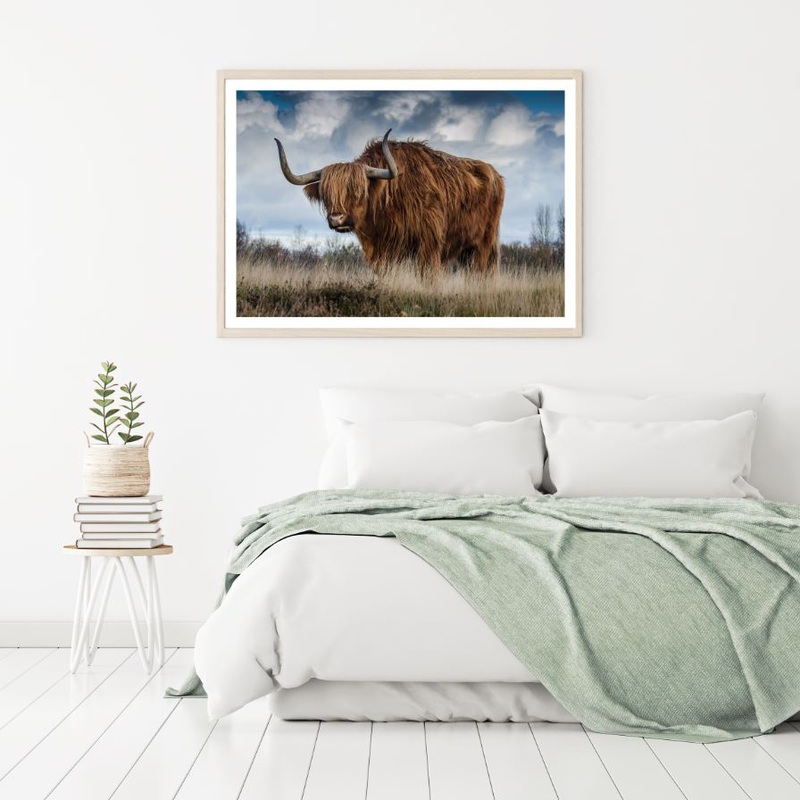 Highland Cow Closeup Photograph Home Decor Premium Quality Poster Print Choose Your Sizes