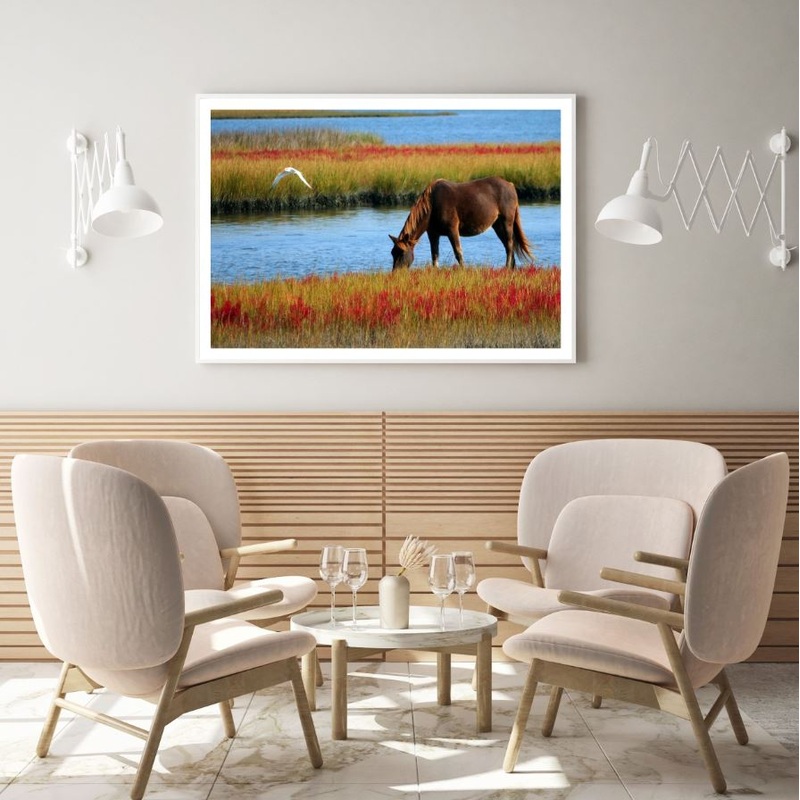 Horse Near Waterstream Photograph Home Decor Premium Quality Poster Print Choose Your Sizes