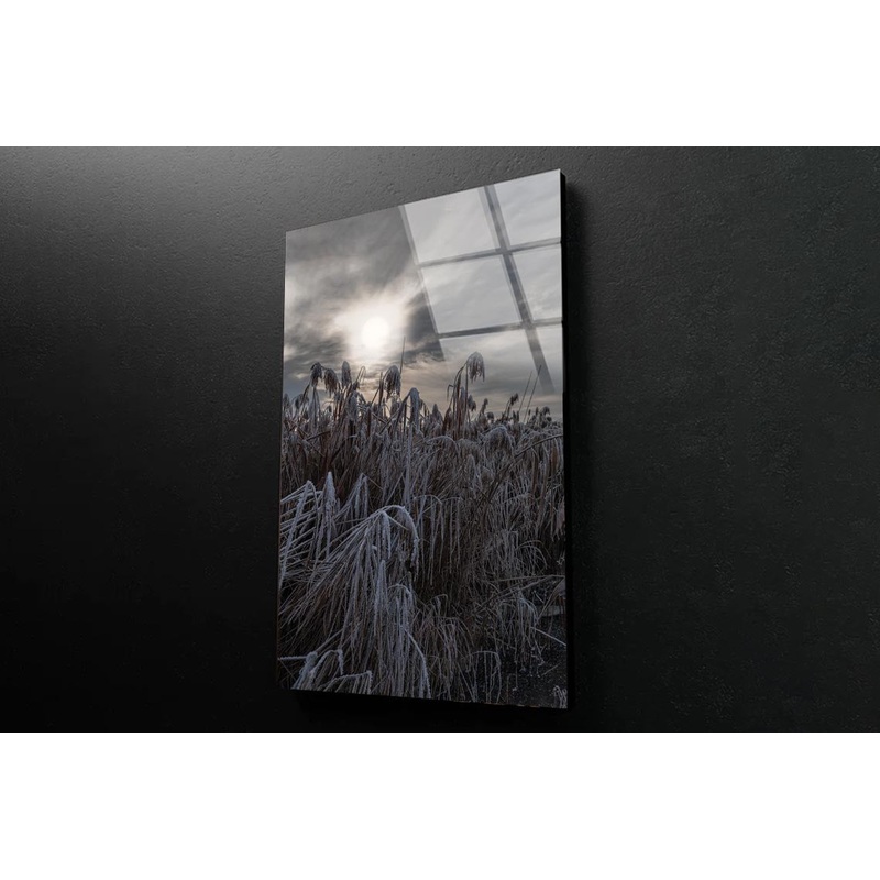 Landscape Winter Wonderland Portrait Photograph Acrylic Glass Print Tempered Glass Wall Art 100% Made in Australia Ready to Hang
