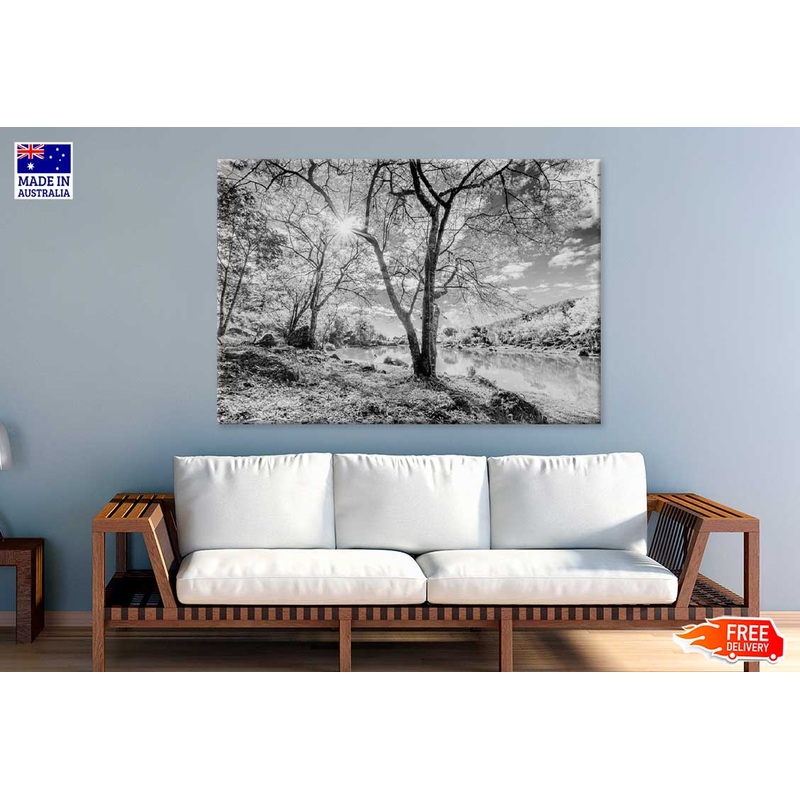 Leafless Trees near Lake B&W Scenery Photograph Print 100% Australian Made