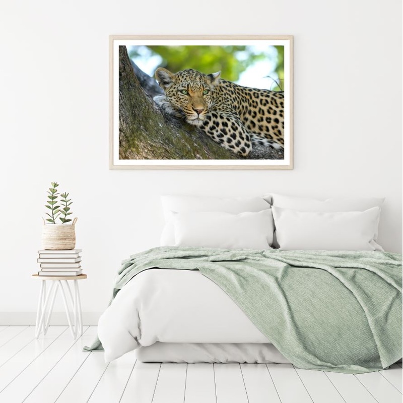 Leopard on Tree Photograph Home Decor Premium Quality Poster Print Choose Your Sizes