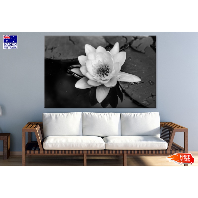 Lotus Flower On Water B&W Photograph Print 100% Australian Made