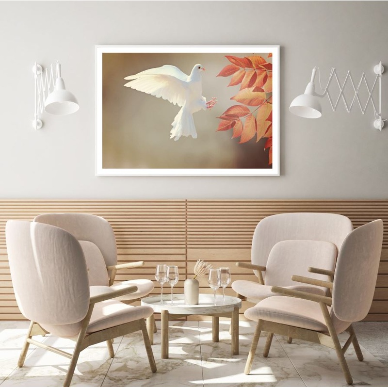 Pigeon Flying Closeup Photograph Home Decor Premium Quality Poster Print Choose Your Sizes