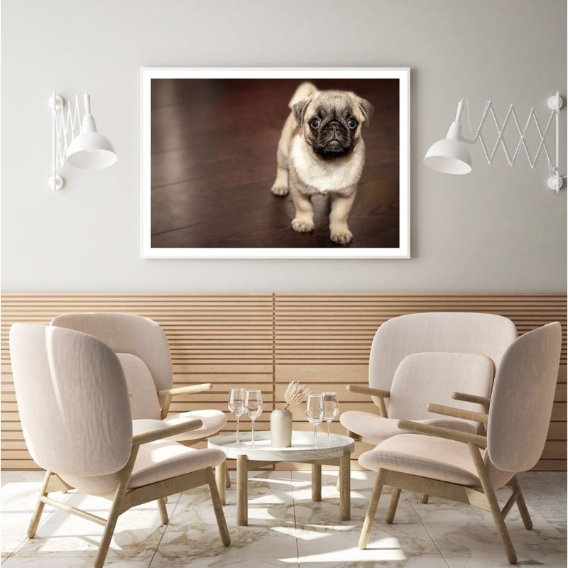 Pug Puppy Dog Portrait Photograph Home Decor Premium Quality Poster Print Choose Your Sizes