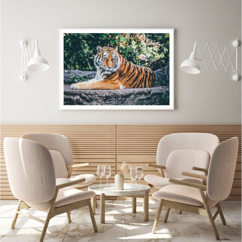 Tiger Portrait Closeup Photograph Home Decor Premium Quality Poster Print Choose Your Sizes