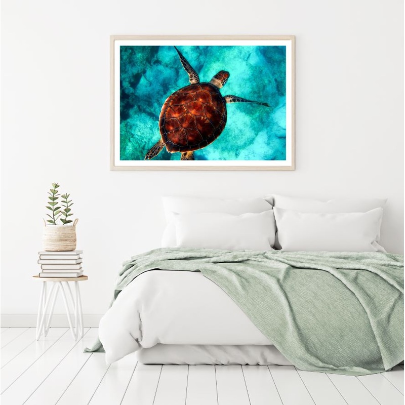 Turtle in Sea Aerial Photograph Home Decor Premium Quality Poster Print Choose Your Sizes