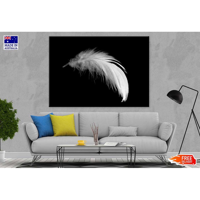 White Feather Closeup B&W View Photograph Print 100% Australian Made