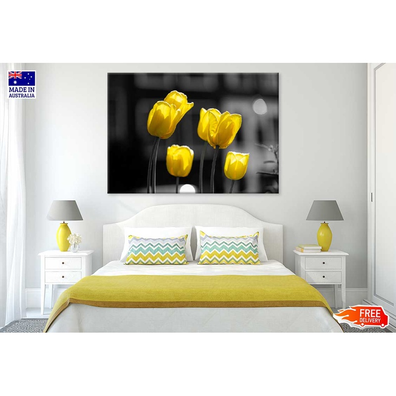 Yellow Tulip Flowers B&W View Photograph Print 100% Australian Made