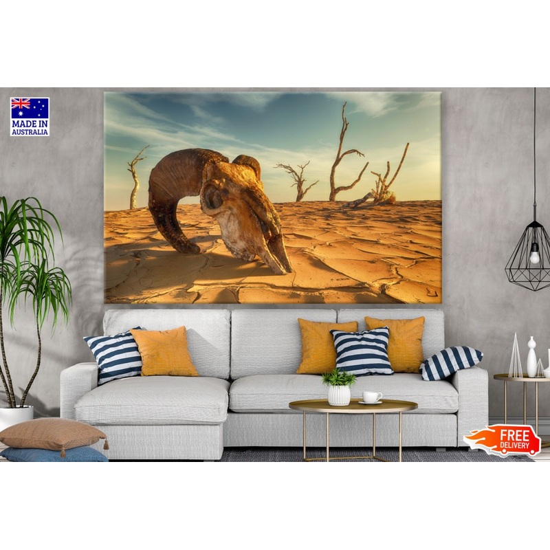 Animal Skull in Desert Photograph Print 100% Australian Made