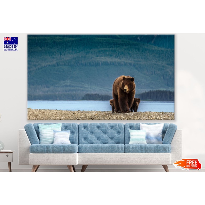 Bear & Cubs Near River Photograph Print 100% Australian Made