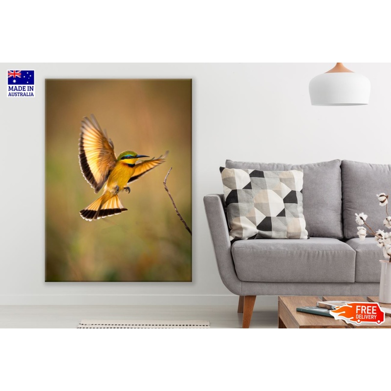 Bird Flying Closeup Photograph Print 100% Australian Made