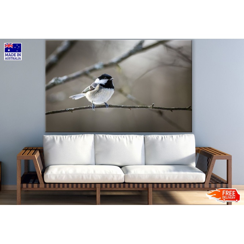 Bird on a Tree Closeup Photograph View Print 100% Australian Made