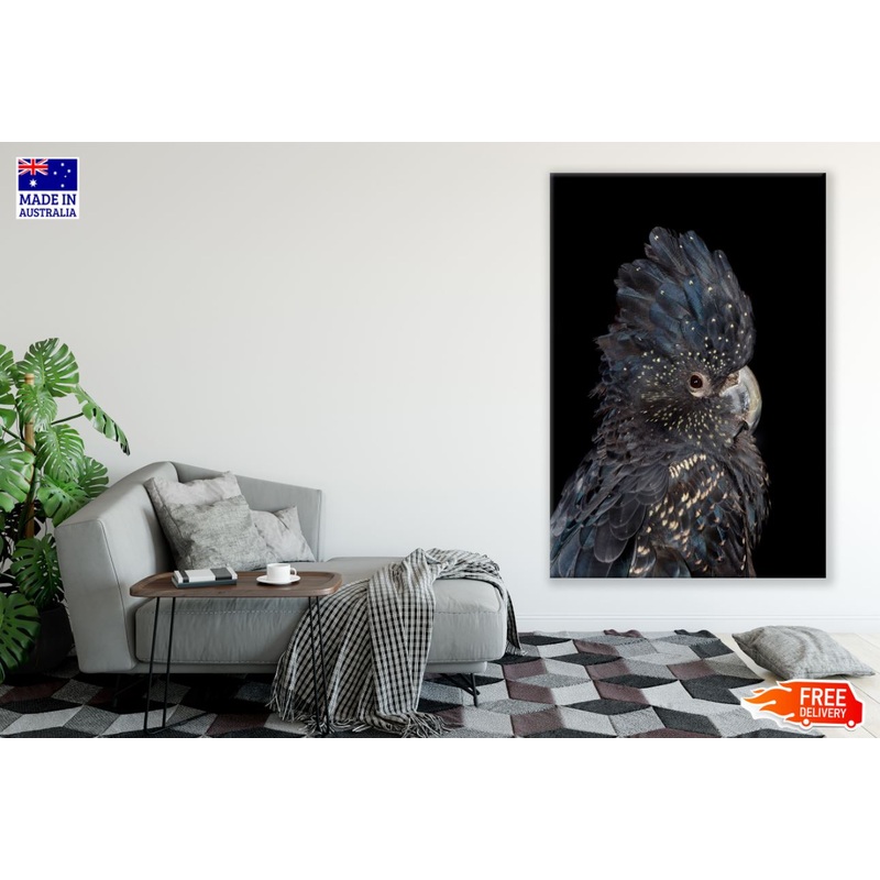 Black & Gold Parrot Portrait View Print 100% Australian Made