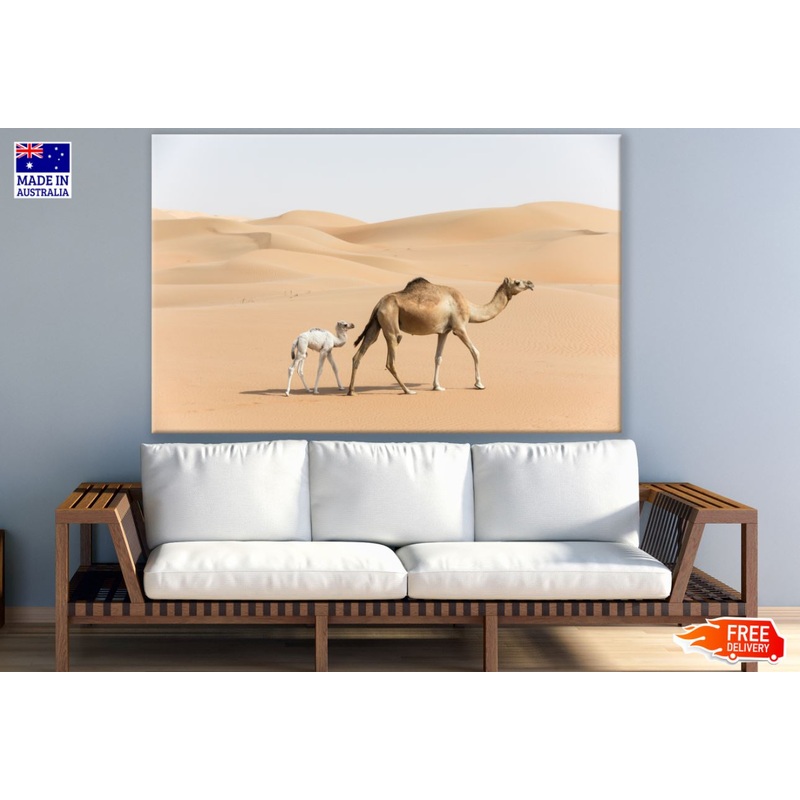 Camels on Desert Photograph Print 100% Australian Made
