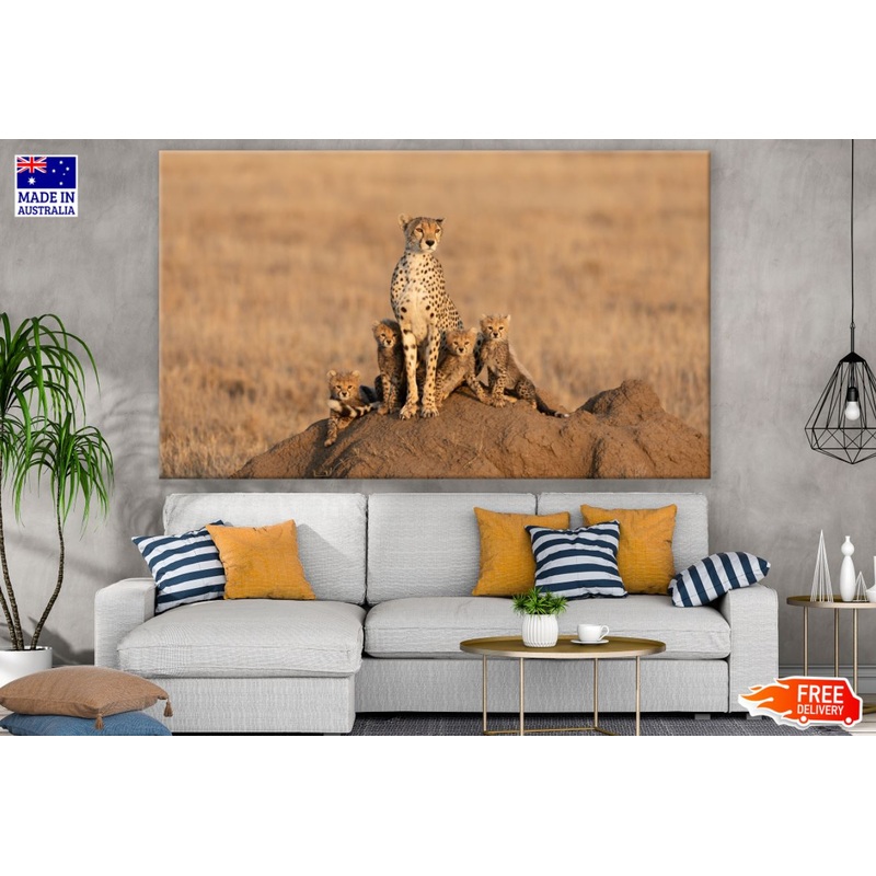 Cheetah & Cubs on a Rock View Print 100% Australian Made