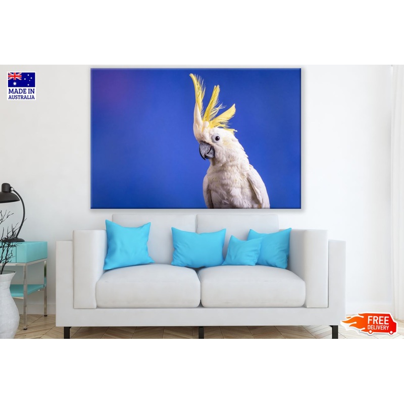 Cockatoo Bird Closeup Photograph Print 100% Australian Made